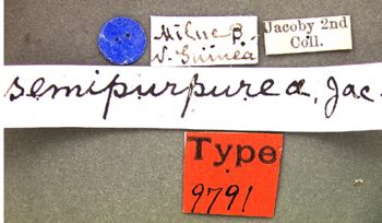 Media type: image; Entomology 9791   Aspect: labels